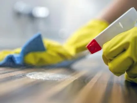 Cleaning Services